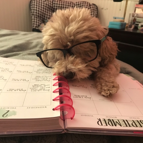 Meet your Posher, Carol - Picture 2 of 5